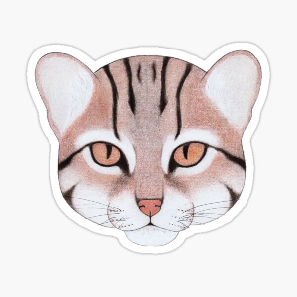 Sunda Leopard Cat Sticker