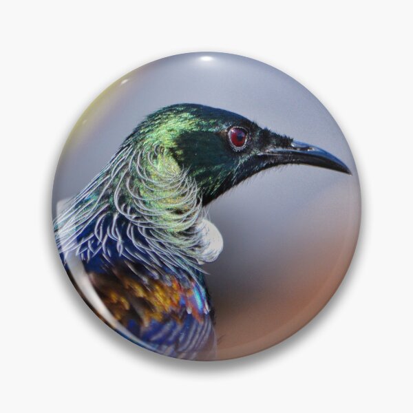Item preview, Tui Aotearoa -Maori Design - New Zealand - Te hoahoa Maori -  designed and sold by Tui-Design.