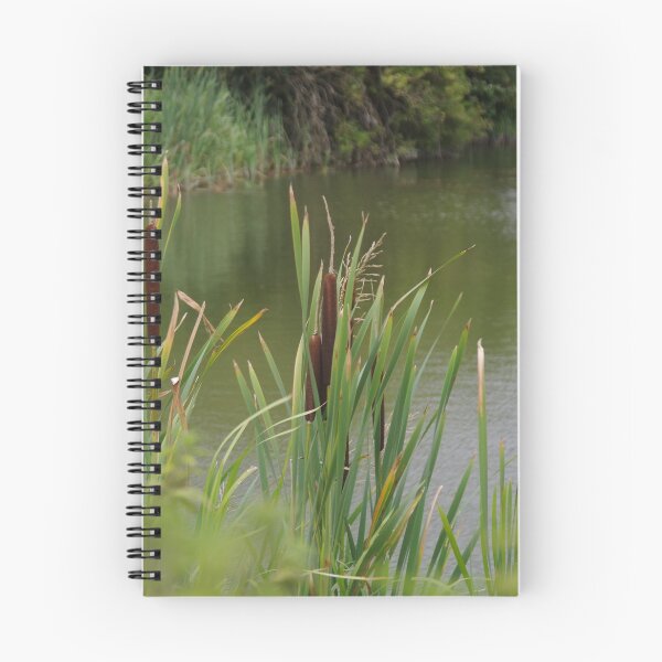 Item preview, Bulrushes (Typha) designed and sold by lezvee.