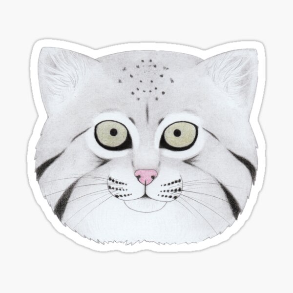 Pallas's Cat Sticker