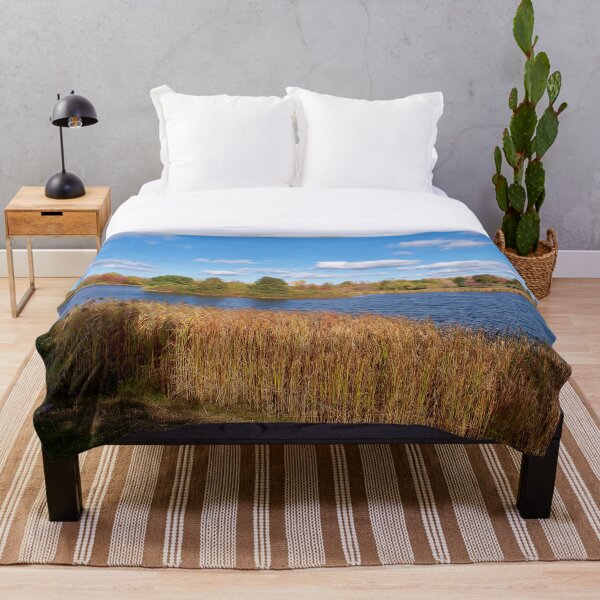 Item preview, Beautiful pond in a beautiful park designed and sold by JCMCDesigns.