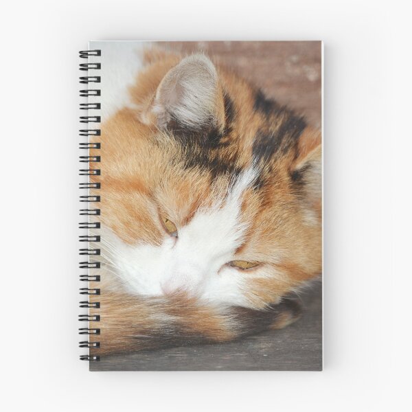 Item preview, Dozing Off designed and sold by Alexandra Lavizzari.