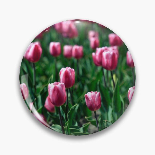 Item preview, Purple tulips on flower bed designed and sold by olena2552.