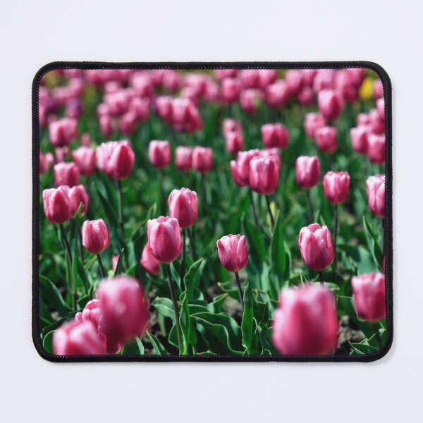 Item preview, Purple tulips on flower bed designed and sold by olena2552.