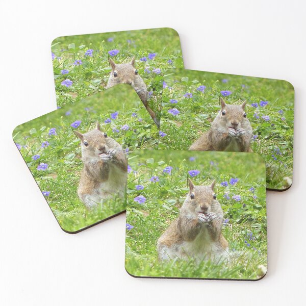Item preview, Squirrel Amongst Wild Violets designed and sold by Frankie Cat Photography.