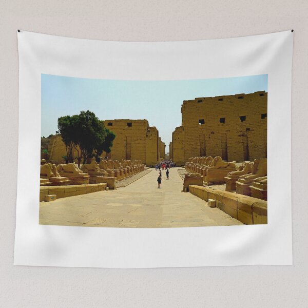 Item preview, The Karnak Temple Complex designed and sold by annalisa56.