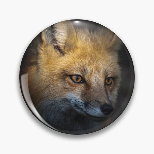Item preview, Fox in the shadow designed and sold by Greg Birkett.