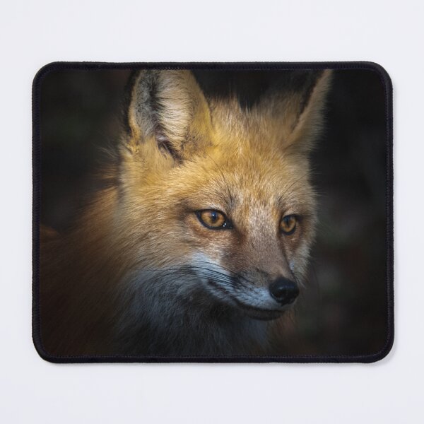 Item preview, Fox in the shadow designed and sold by Greg Birkett.