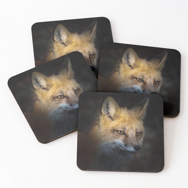 Item preview, Fox in the shadow designed and sold by Greg Birkett.