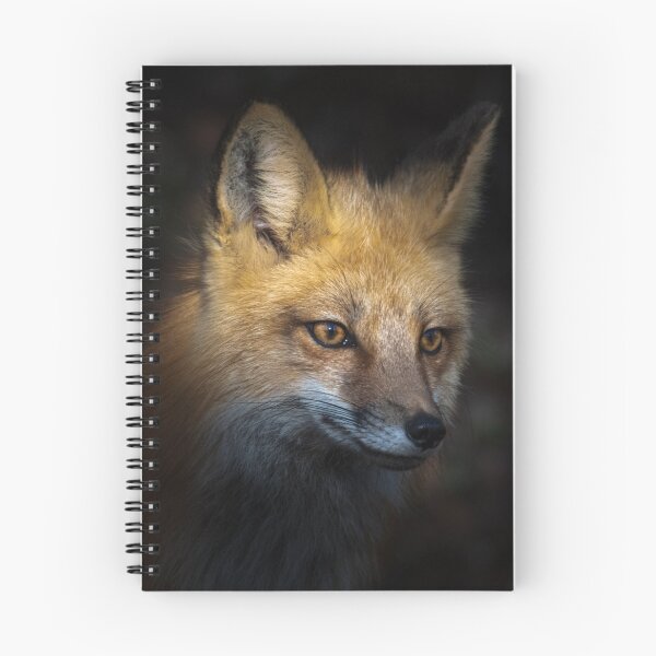 Item preview, Fox in the shadow designed and sold by Greg Birkett.