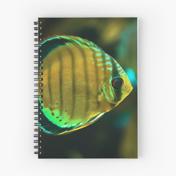 Item preview, A fish designed and sold by Dominika Aniola.