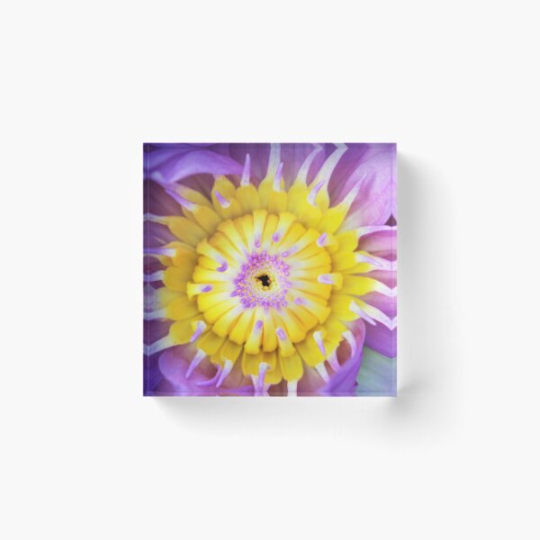 Item preview, Waterlily magic designed and sold by AnnaKT.