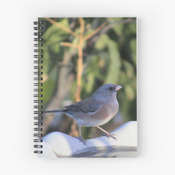 Item preview, Junco Strut designed and sold by LyssaBunni.