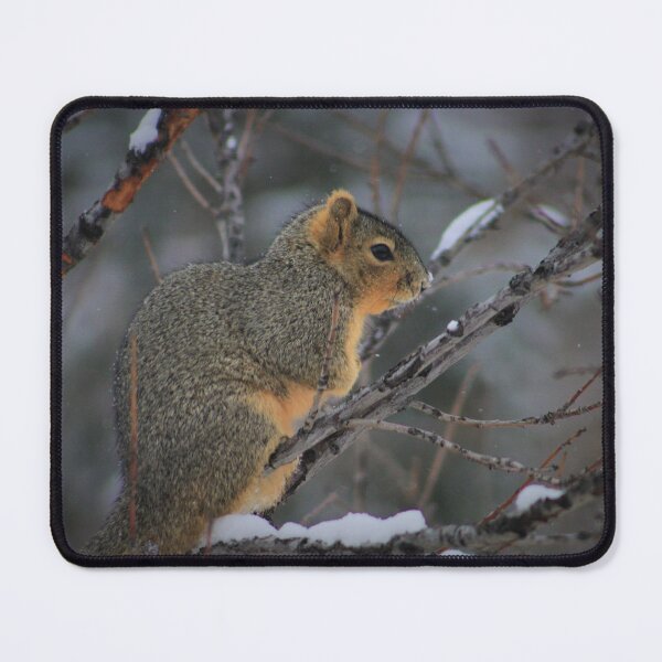 Item preview, Winter Squirrel designed and sold by LyssaBunni.