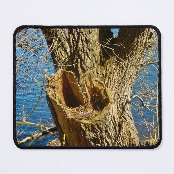 Item preview, Old tree  designed and sold by Shulie1.