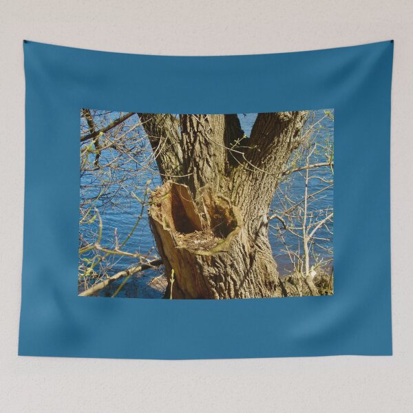 Item preview, Old tree  designed and sold by Shulie1.