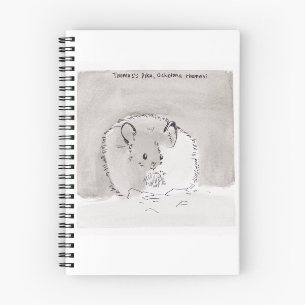 Item preview, Thomas's Pika (Ochotona thomasi) designed and sold by Z Roesler.