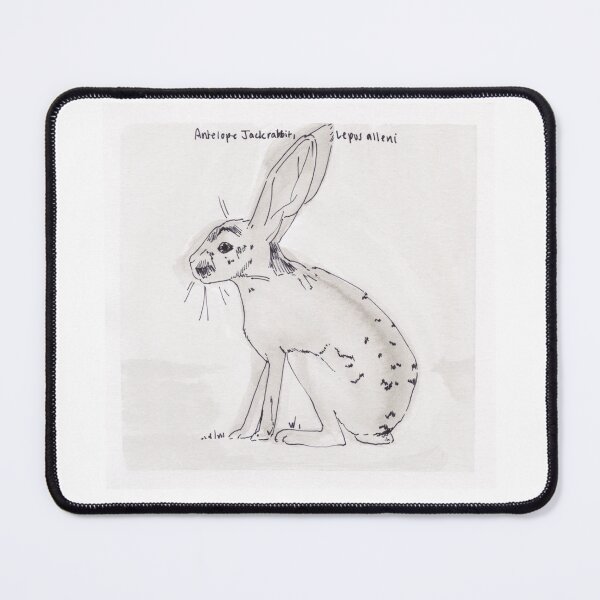Item preview, Antelope Jackrabbit (Lepus alleni designed and sold by Z Roesler.