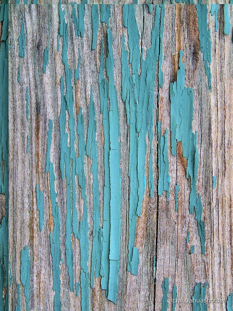 Shabby rustic weathered wood turquoise by chihuahuashower