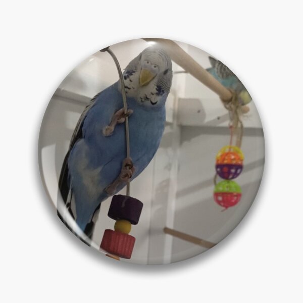 Item preview, PARROT BUDGIE SAY HELLO designed and sold by TESKAJA.