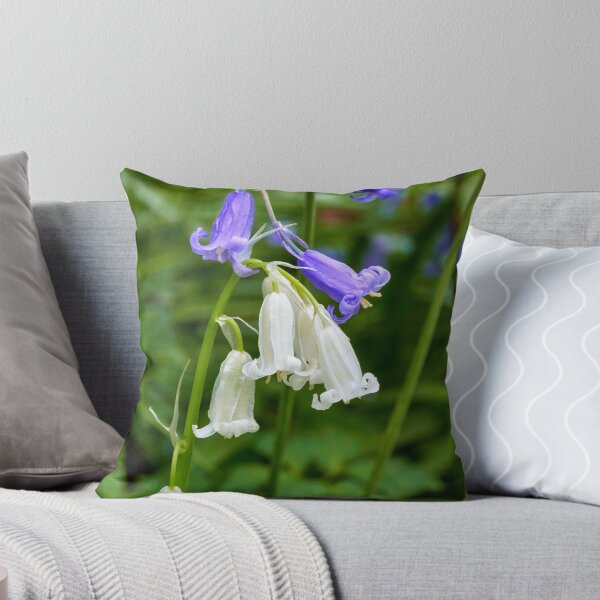 Item preview, Bluebells, and rare white bluebells, Cefn Onn Park, Lisvane, Cardiff, South Wales, UK. designed and sold by VnGphoto.