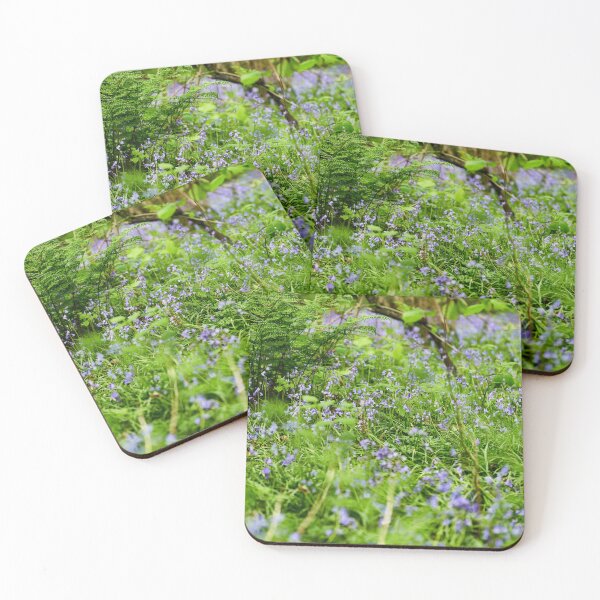 Item preview, Bluebells in the woods, Cefn Onn Park, Cardiff designed and sold by VnGphoto.