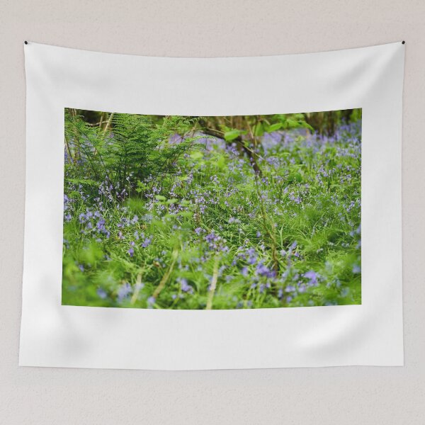 Item preview, Bluebells in the woods, Cefn Onn Park, Cardiff designed and sold by VnGphoto.
