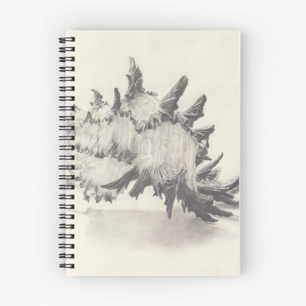 Item preview, Ron Perlman's choreographed dance routine Murex seashell designed and sold by Jessica Wisneski.