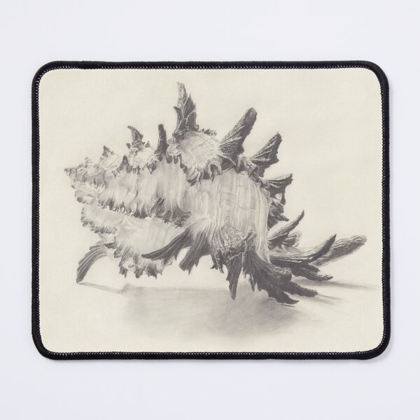 Item preview, Ron Perlman's choreographed dance routine Murex seashell designed and sold by Jessica Wisneski.