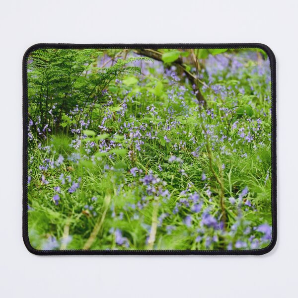 Item preview, Bluebells in the woods, Cefn Onn Park, Cardiff designed and sold by VnGphoto.