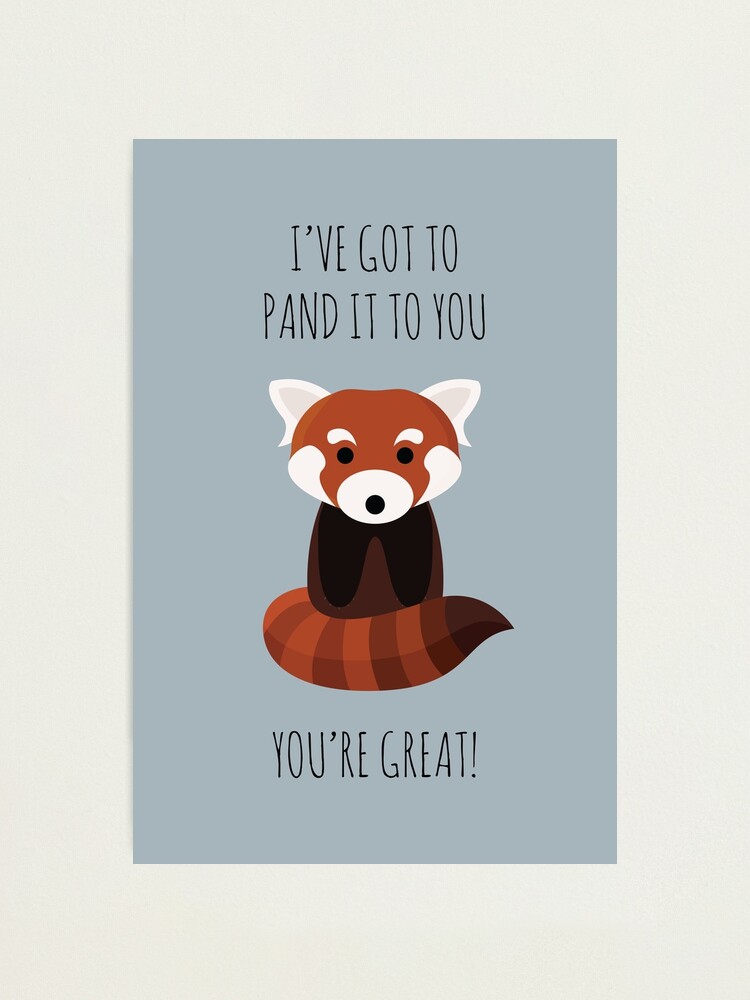 Alternate view of Red Panda Thinks You're Great Photographic Print