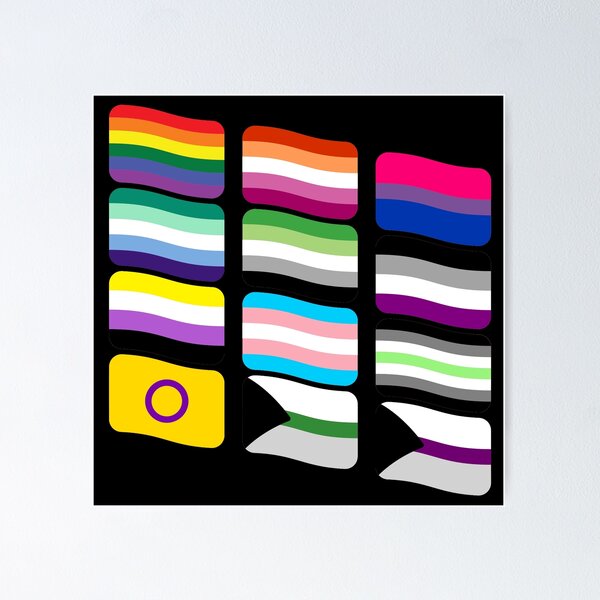 Pride Flag Progress Poster