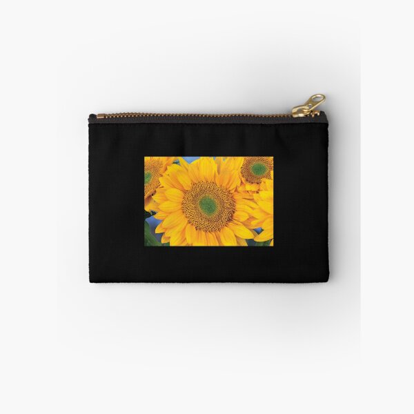 Item preview, Common-Sunflower-Group-Showing-Symmetrical-Seed-Heads designed and sold by Saunders Medlock.