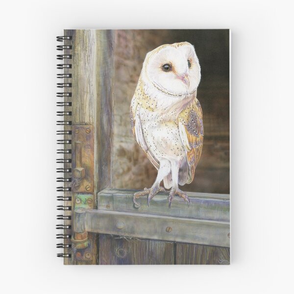 Item preview, Resident Barn Owl designed and sold by Sharon J. Read - 'Lundy Spellbound'.