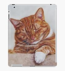 Tangerine Dream iPad Case/Skin
