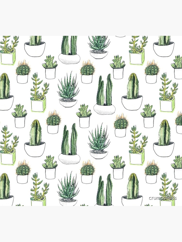 Watercolour cacti & succulents by crumpsticks