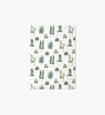 Watercolour cacti & succulents Art Board