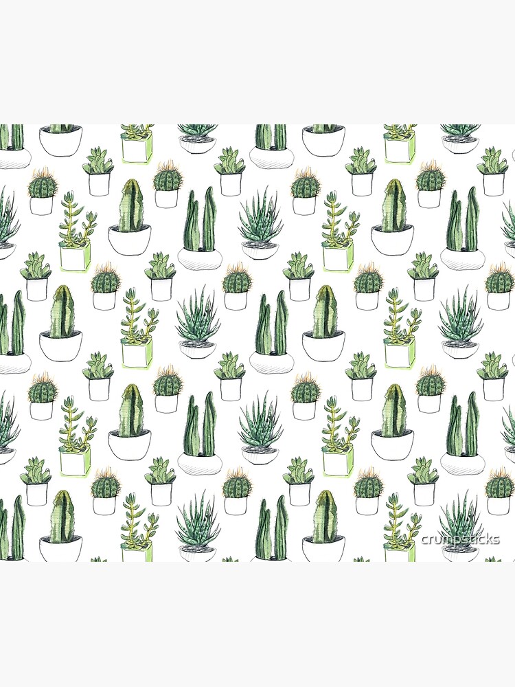Watercolour cacti & succulents by crumpsticks