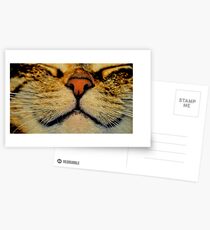 smile Postcards