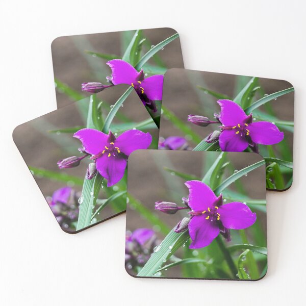Item preview, Magenta Flower Bloom with Rain Droplets designed and sold by Wisps & Whiskers Designs.
