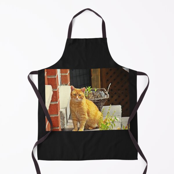 Item preview, Ginger pussy, designed and sold by PicsByMi.