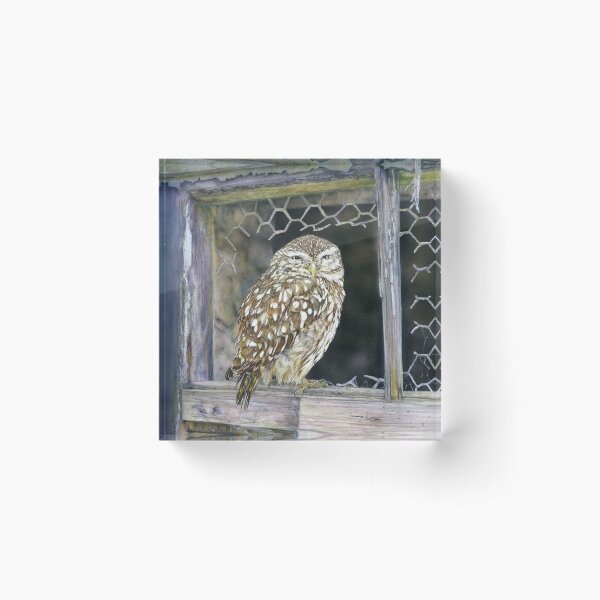 Item preview, Little Owl designed and sold by Sharon J. Read - 'Lundy Spellbound'.