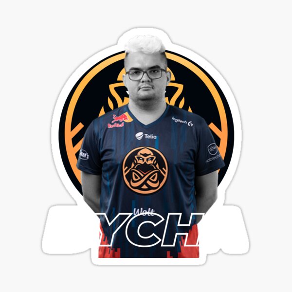 CSGO NAVI Sticker for Sale by BackClap