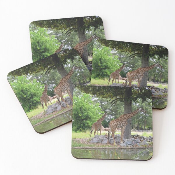Item preview, Tranquil, Yet Party Animals Safari Zoo Virginia designed and sold by BGGretchen.