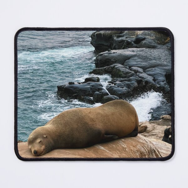 Item preview, San Diego - La Jolla - Postcard designed and sold by GirlWander12.
