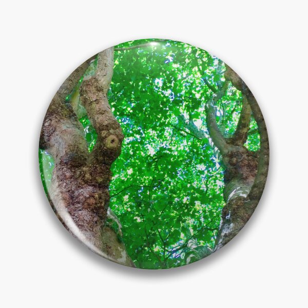 Item preview, Amazing trees : Bath City,England UK  designed and sold by Angela Haig-Harrison.