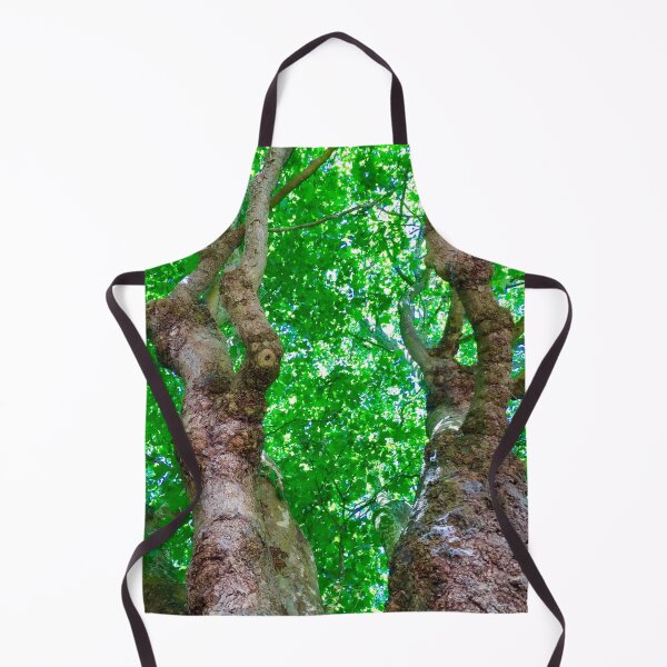 Item preview, Amazing trees : Bath City,England UK  designed and sold by Angela Haig-Harrison.