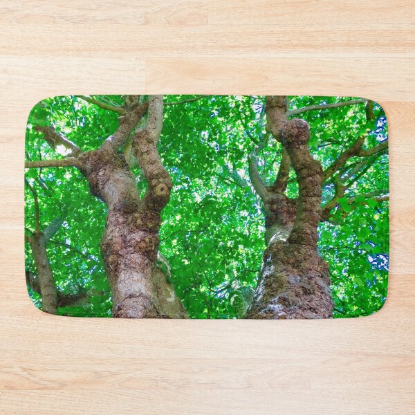 Item preview, Amazing trees : Bath City,England UK  designed and sold by Angela Haig-Harrison.