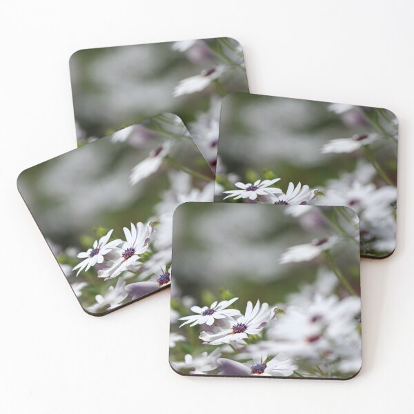 Item preview, African daisies designed and sold by GreyFeatherPhot.