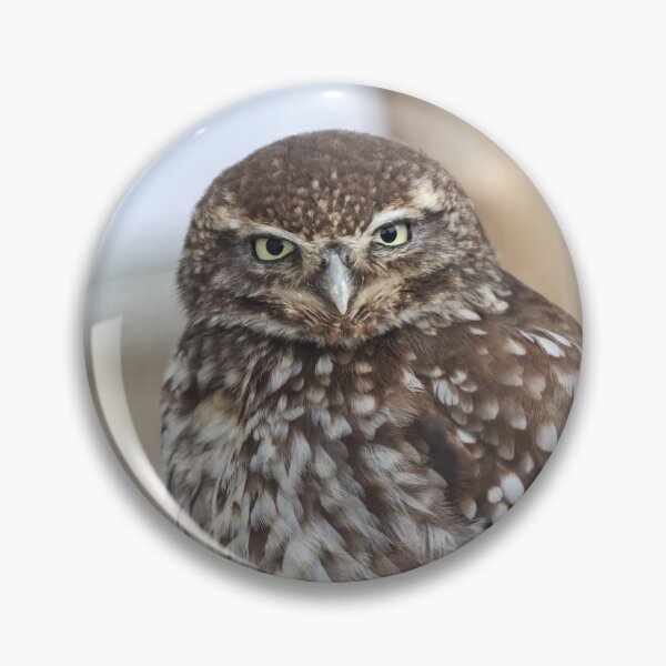 Item preview, Grumpy little owl designed and sold by GreyFeatherPhot.